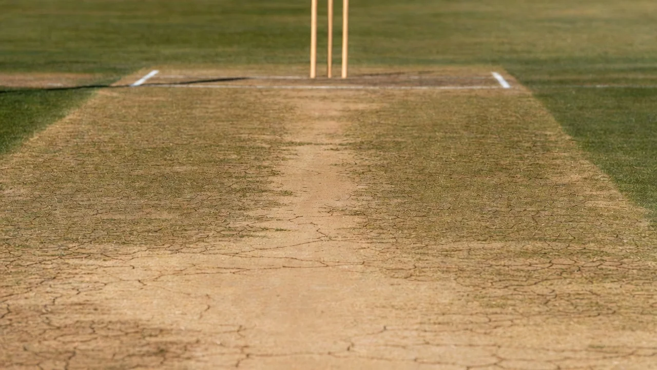 Superficie del pitch di cricket vista da vicino con segni di usura ed erba rasata